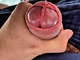 Rare Cock Head Slit Edging with Precum gay porn chinese subservient